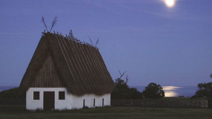 Gåsemora på Fårö. Gåsemora på Fårö.