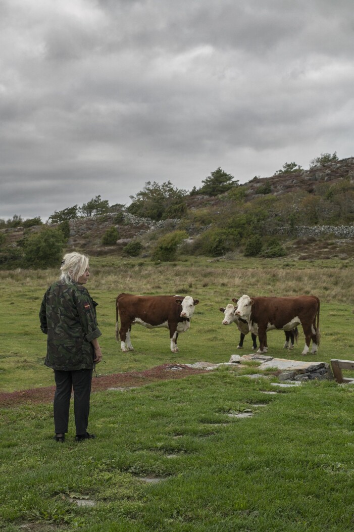 Karin hälsar på grannarna. Gert Wingårdhs sommarställe Äggdal ligger precis vid ett naturreservat