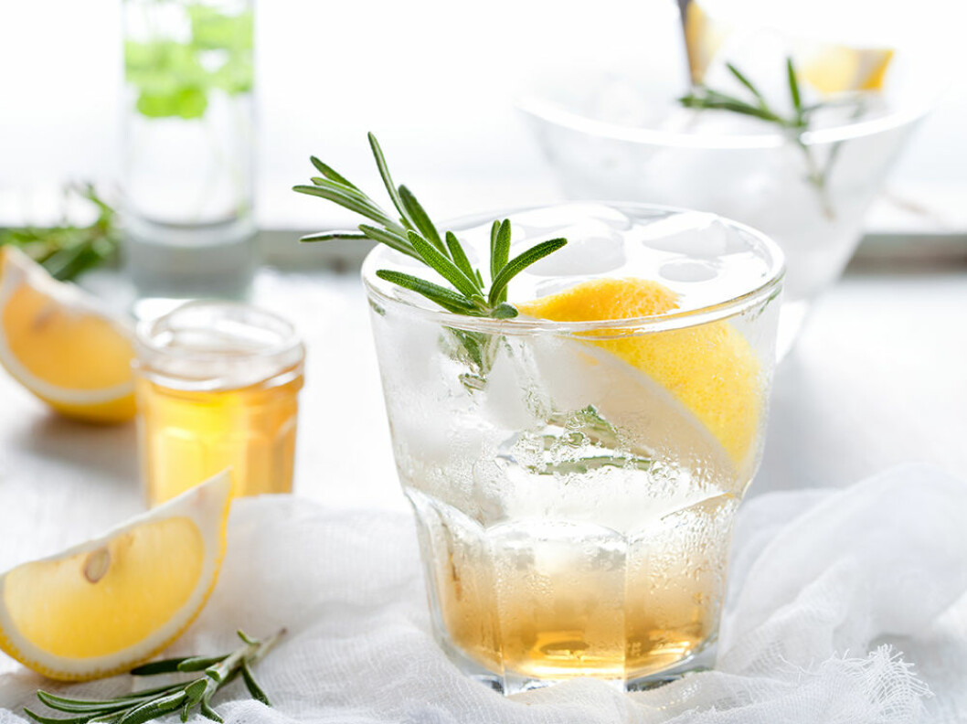 gin-fizz-aggvita