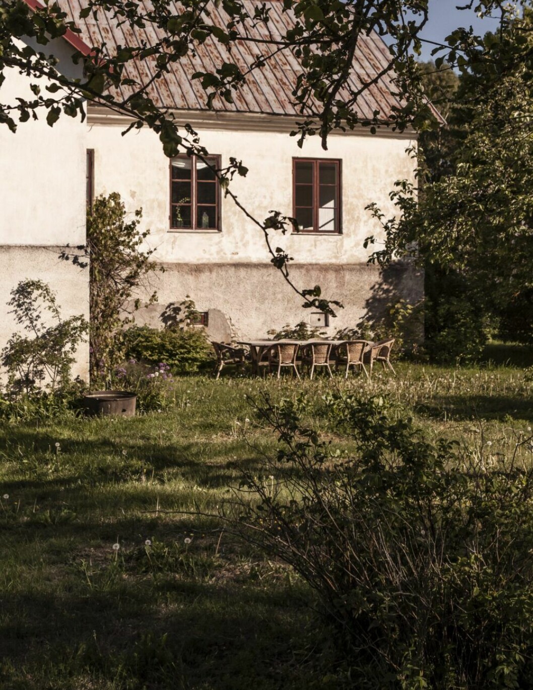 Den uppvuxna trädgården har lämnats vild och vacker med kastanj, fruktträd och vindruvor som klättrar mot en vägg. »Vi borde kanske beskära träd och buskar och ta hand om dem lite men jag gillar att det är lummigt. Välhållna rabatter är ångestbetonat!«