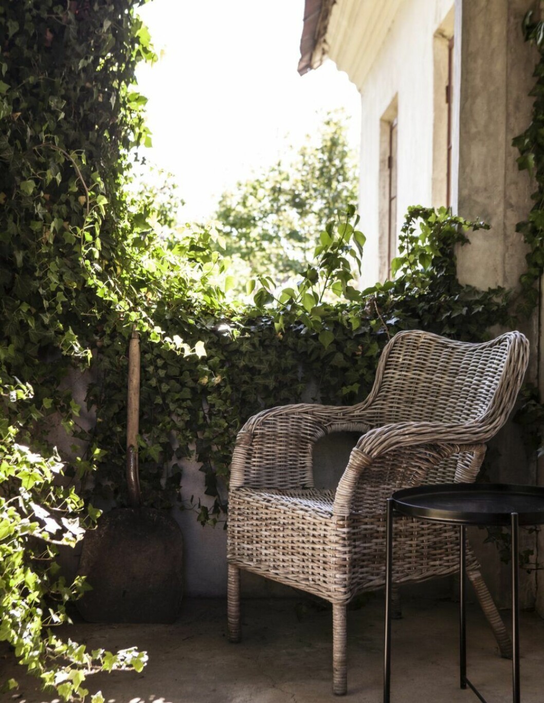 Malins favoritplats bland murgrönan ovanför trappen till entrén. »Här är fantastiskt vilsamt. Det känns som att man är i Toscana och det är ett bra gömställe för en liten vilopaus från resten av familjen.«Malin Glemme.