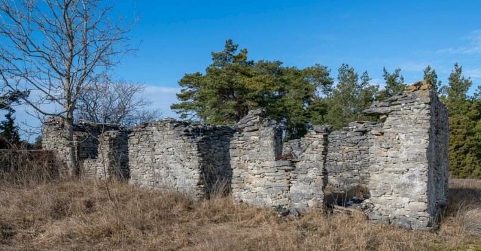 En gammal ruin på tomten. en gammal gotländsk ruin