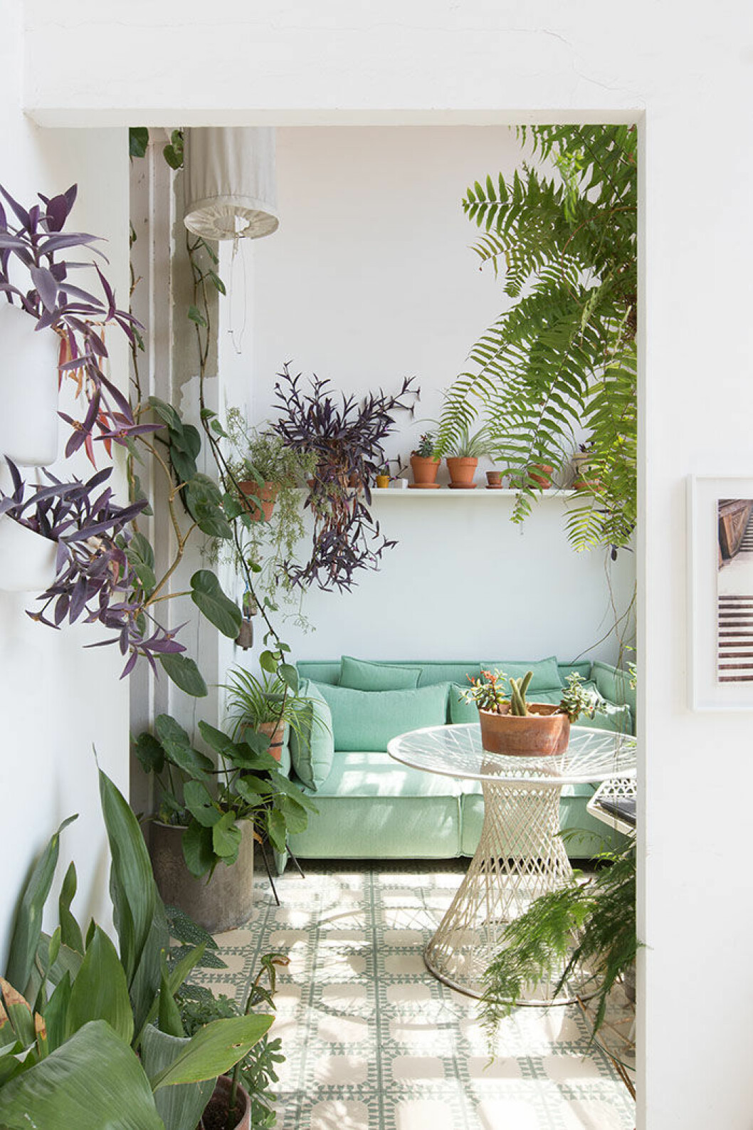 green interios