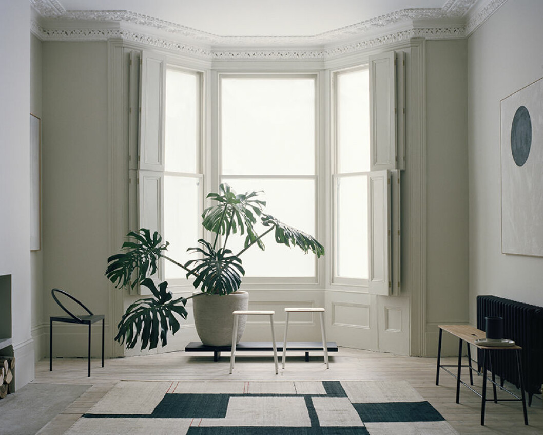 grey house ljust fönster monstera