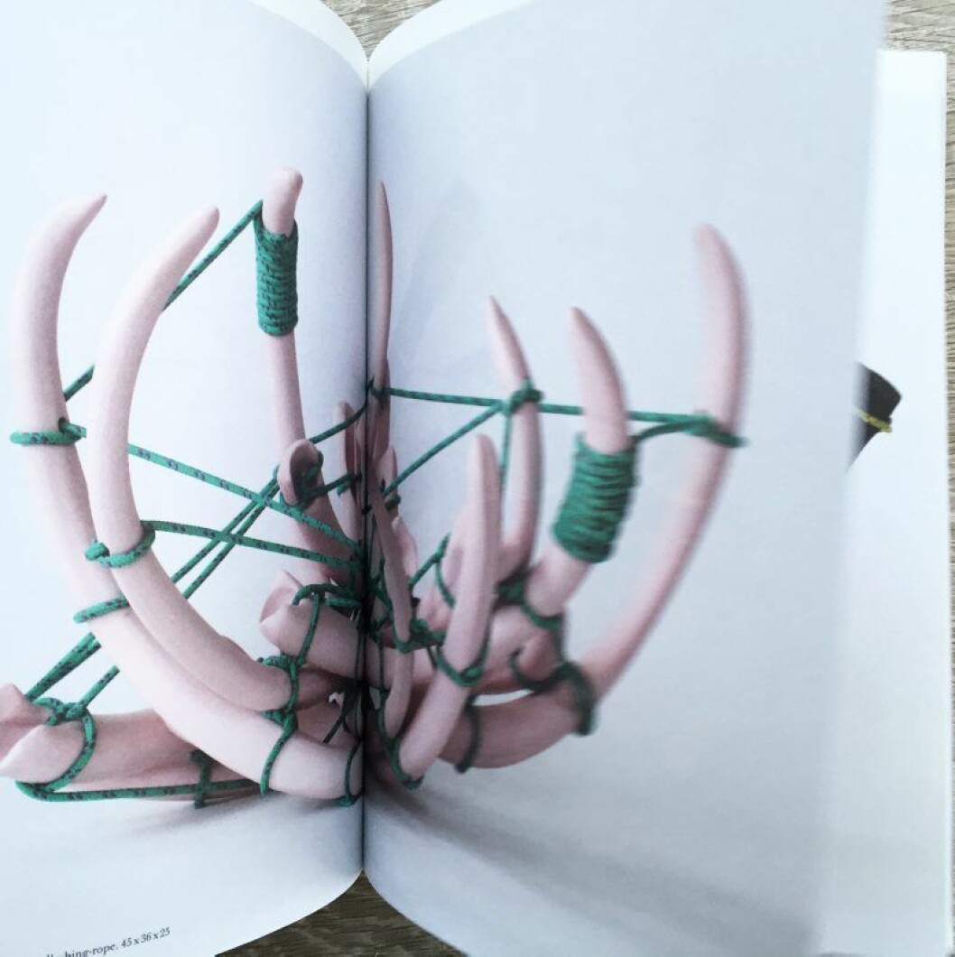 Gustaf Nordenskiold ny bok_10