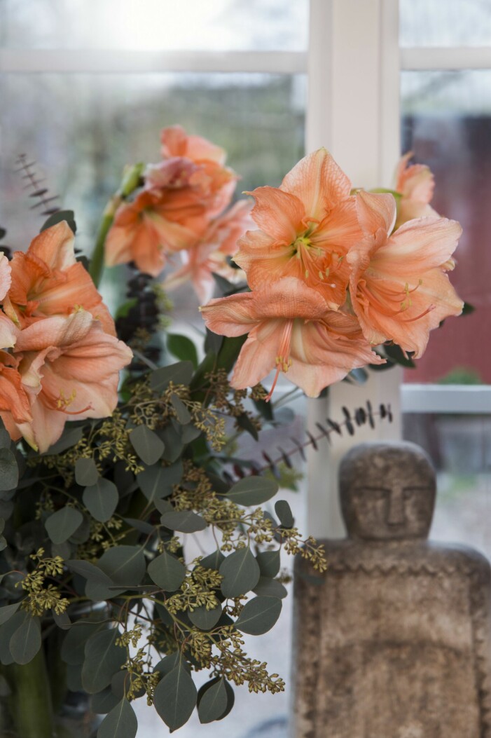 Ingen december utan pampiga amaryllisbuketter, denna skapad avAnna Sellergren förstås. Julhem floristens gröna jul amaryllisbukett