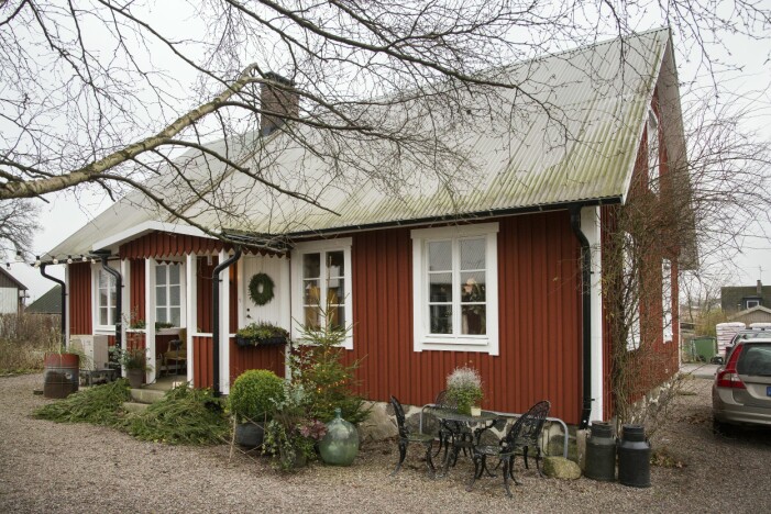 Full julstämning utanför Annas hus trots avsaknaden av snö. Julkrans av kryptomeria på dörren, ljung, murgröna, och vita vaktelbär i terrasslådorna och mängder med granris på båda sidor av verandatrappan. Julhem floristens gröna jul huset