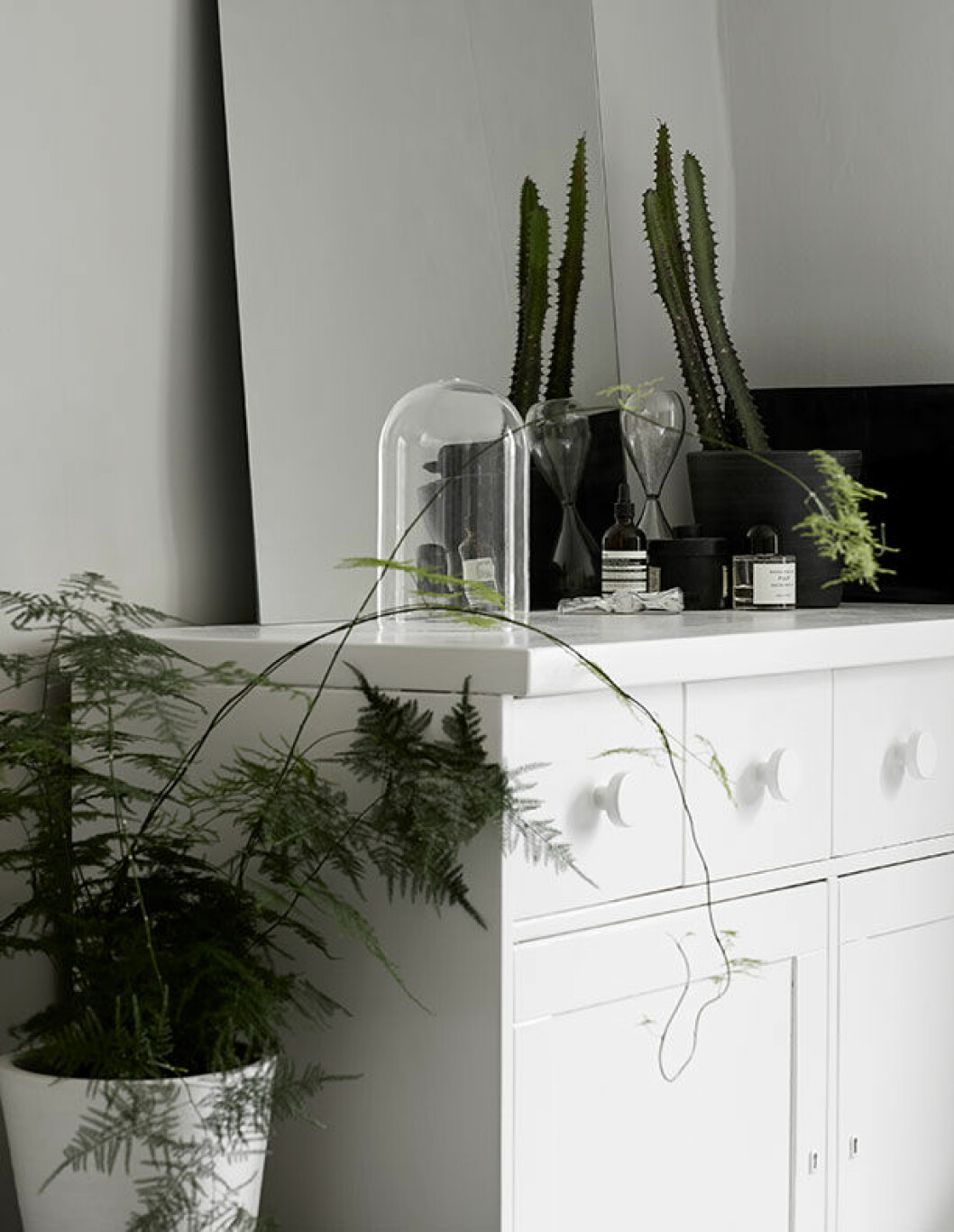 Sparrisväxt och kaktus samsas på den gamla furubyrån. Glaskupa från en hobbybutik. hemma hos Annaleenas hem residence vaxter