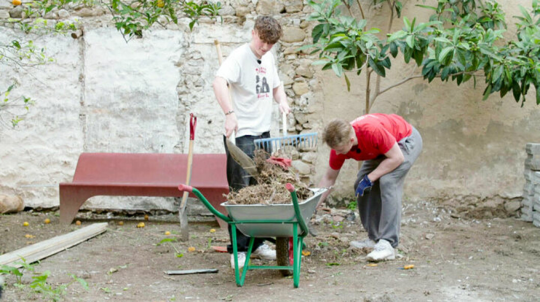 Äldsta pojkarna Otto och Vidar hjälper till med arbetet i trädgården. Husdrömmar Sicilien avsnitt fem
