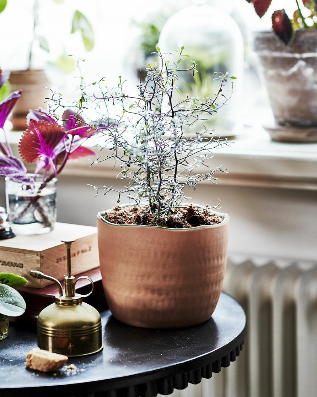 Handgjord kruka i rödlera från Ikeas kollektion Botanisk