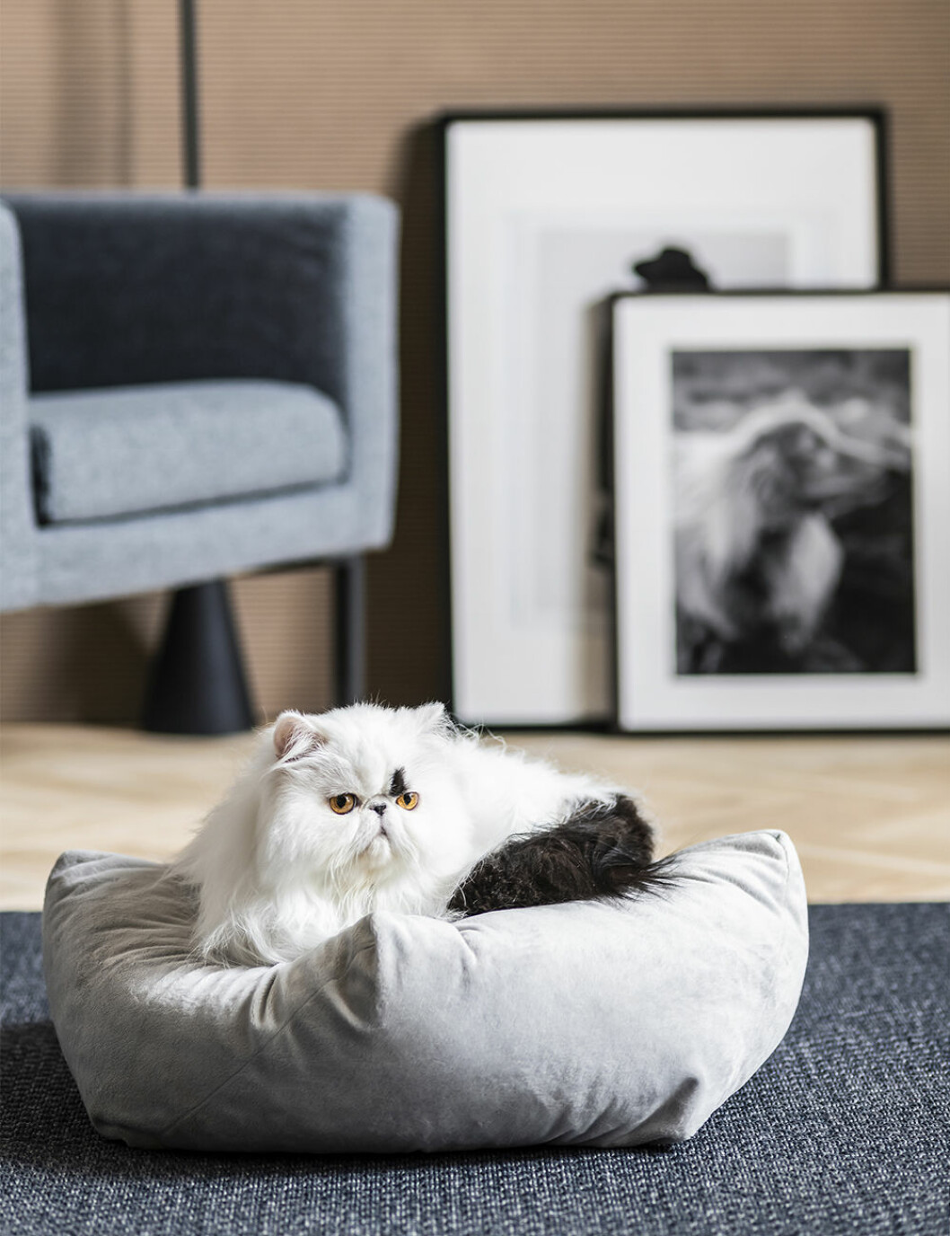 kattbädd från ikeas kollektion lurvig