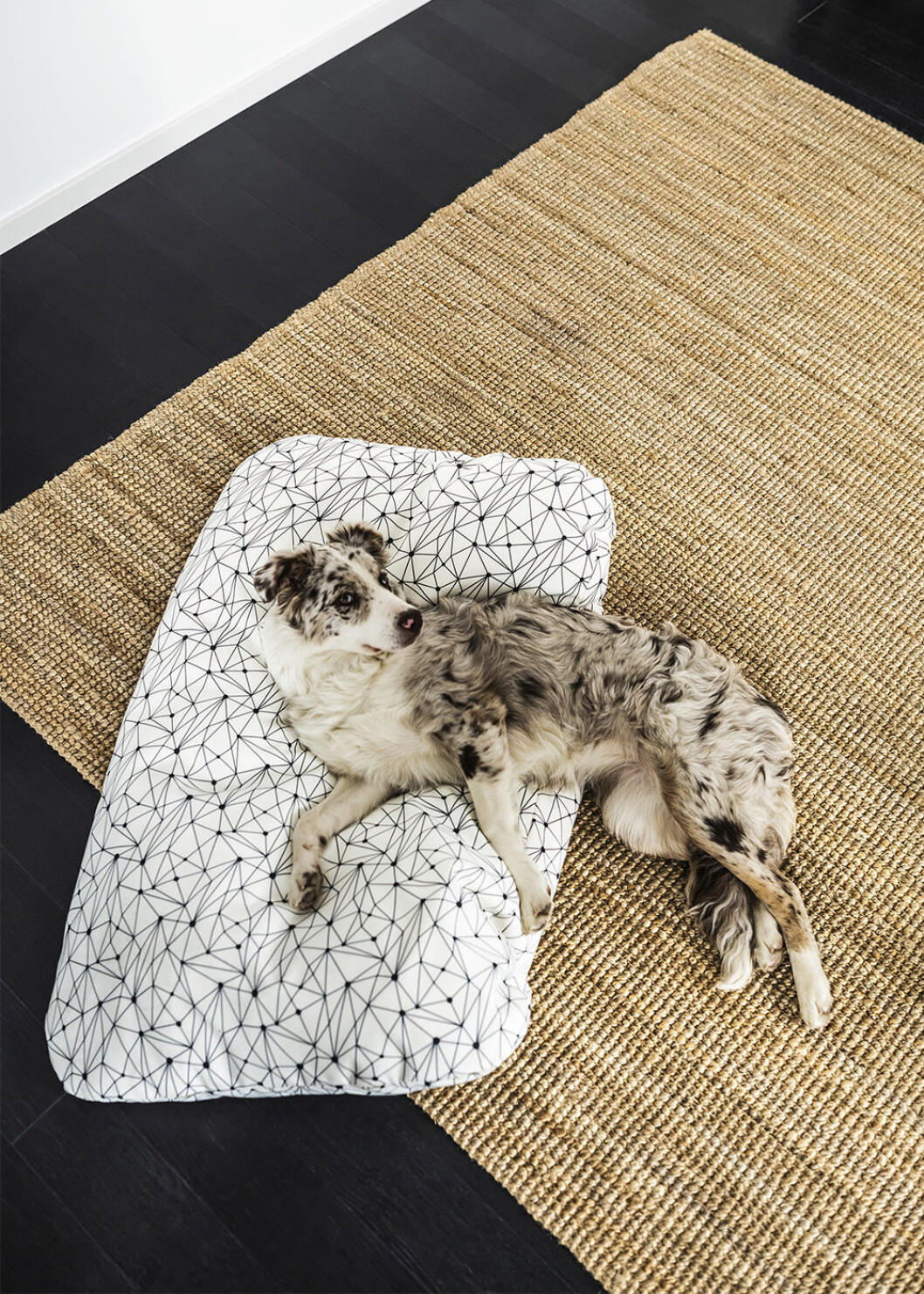 Bädd för hund eller katt från Ikeas lurvig-kollektion