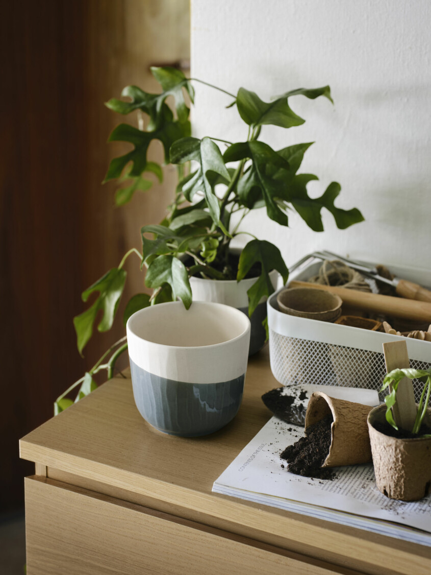 Krukan <span class=" italic" data-lab-italic_desktop="italic">Sagogryn</span> lyfter hemmets grönskande inslag på nolltid. Vinter och vårnyheter hos Ikea 2023, kruka Sagogryn