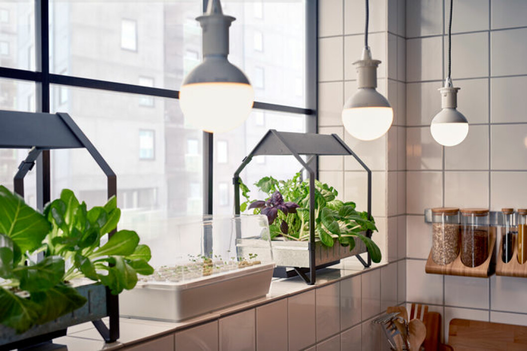 ikea-vaxtkarl-nyheter
