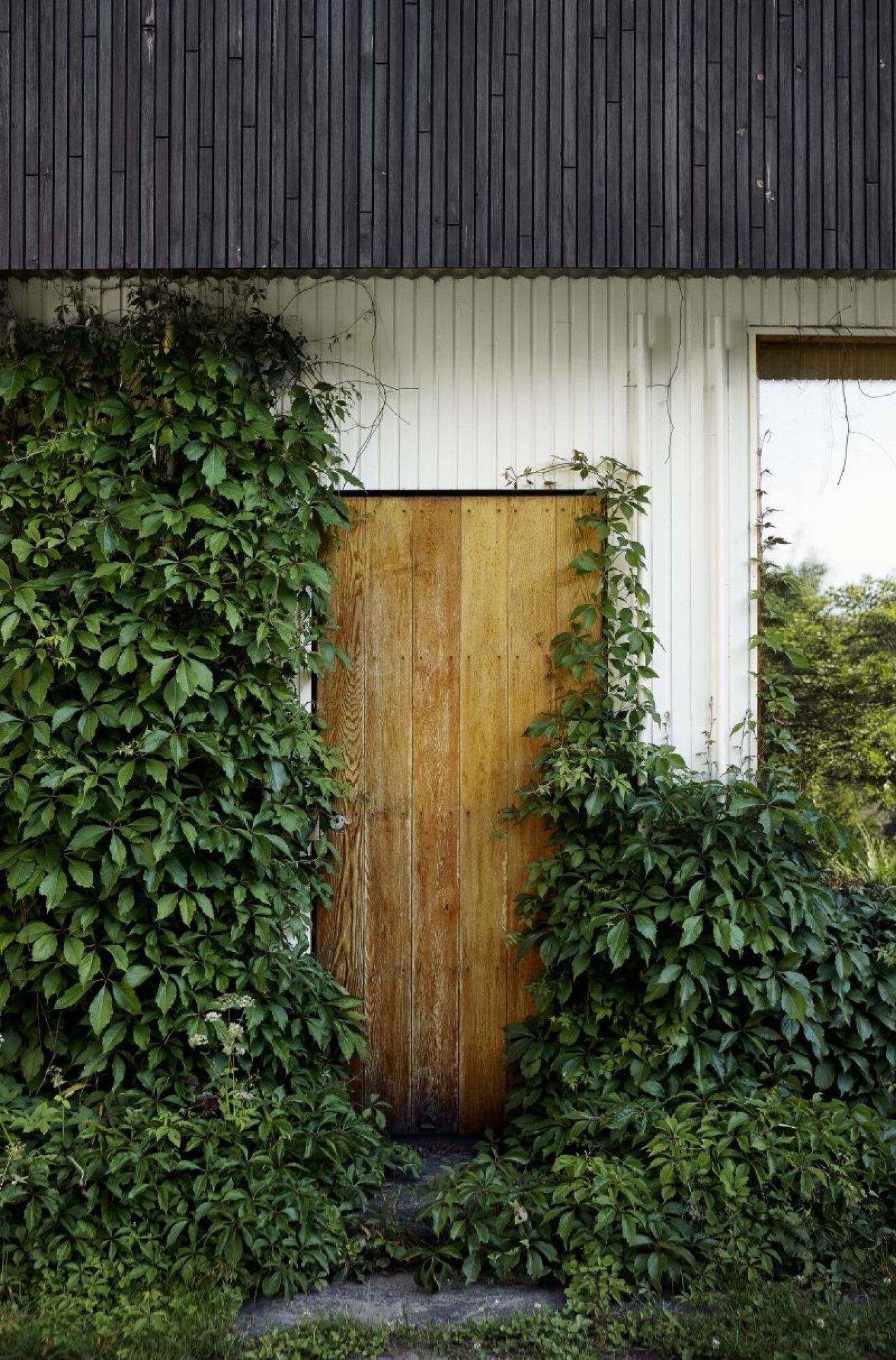 Dörren som leder från vardagsrummet ut till trädgården hemma hos Alvar Aalto