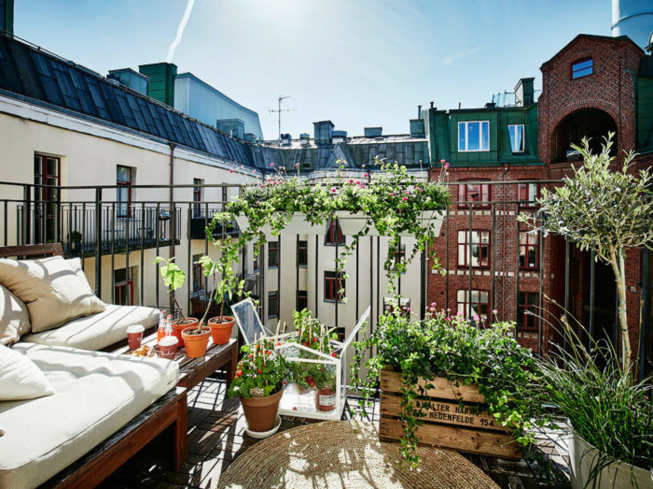 Scandinavian summer balcony with green plants and vegetable plants.