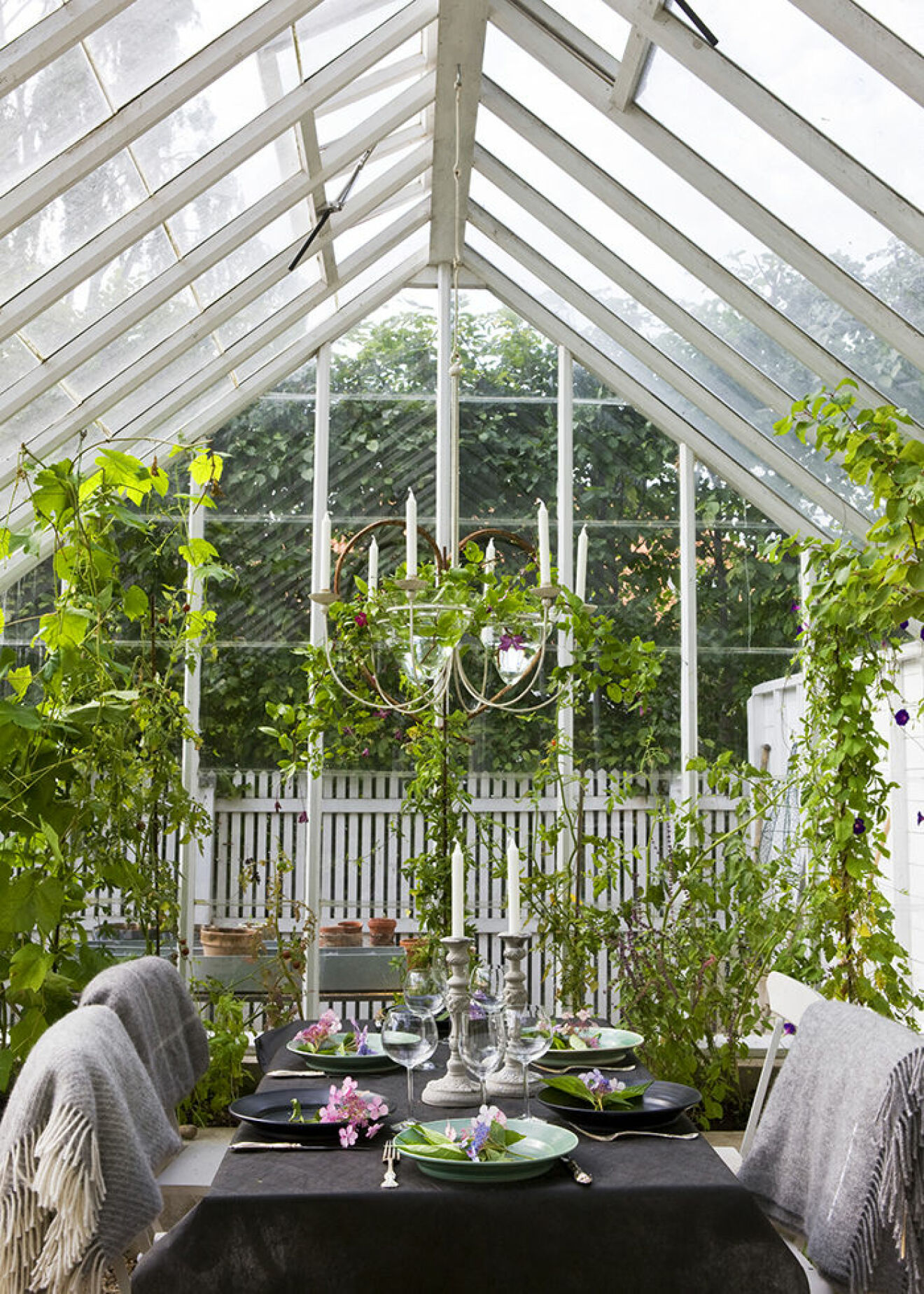 Rama in matplatsen i växthuset eller orangeriet med gröna växter.