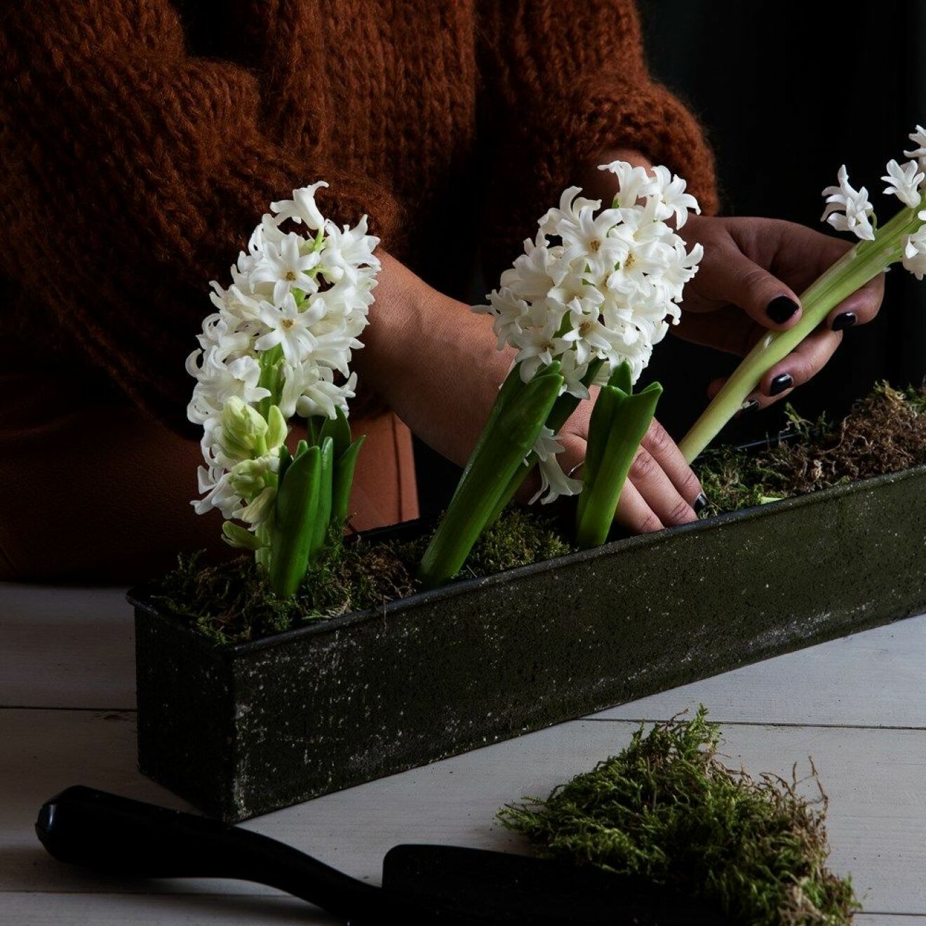 granit jul mossa hyacint