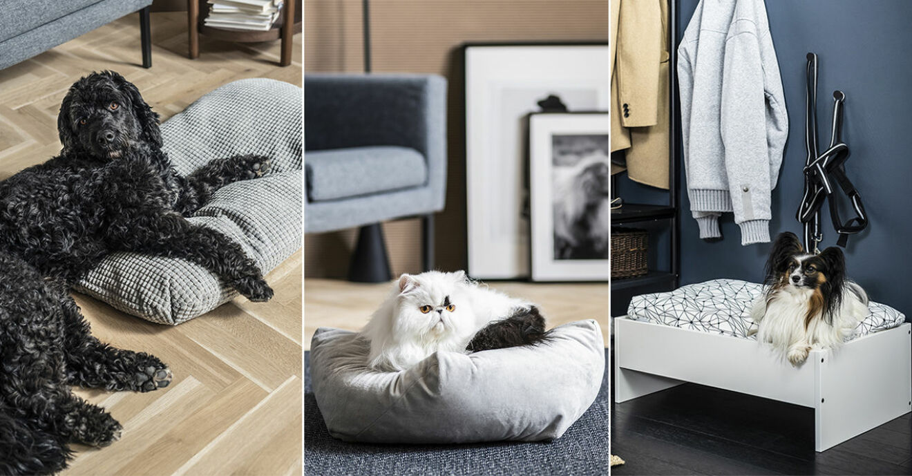 Ikea Lurvig kollektion för hundar och katter