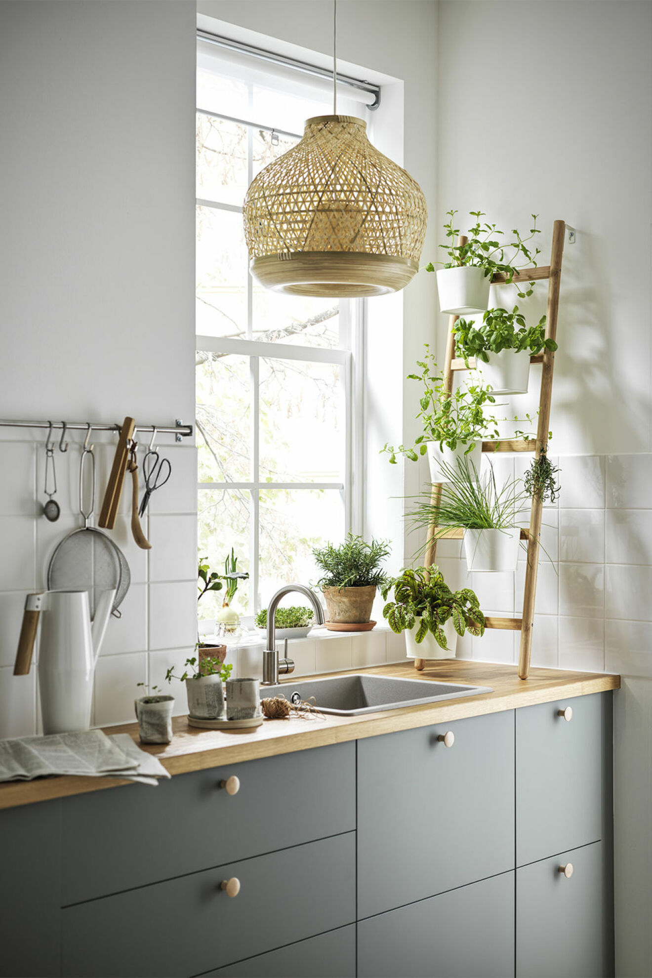 Smart förvaring för växter i köket från Ikea-katalogen 2021