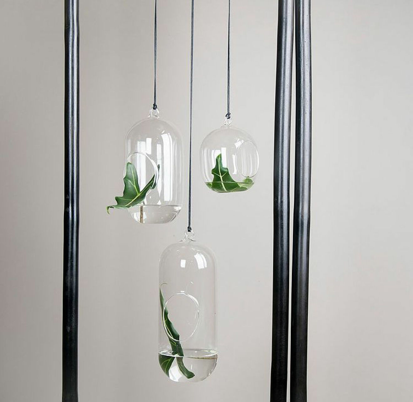 hängande glasamplar