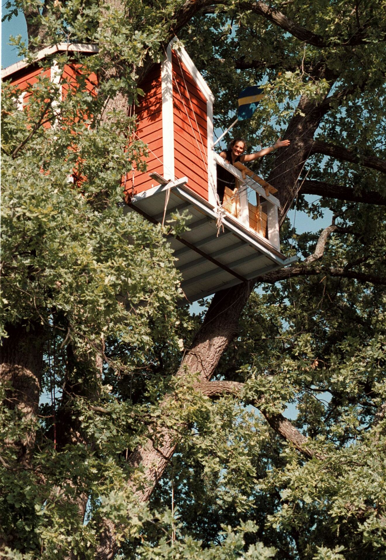 Hotell Hackspett, trädhushotellet uppe i ett träd i centrala Västerås.