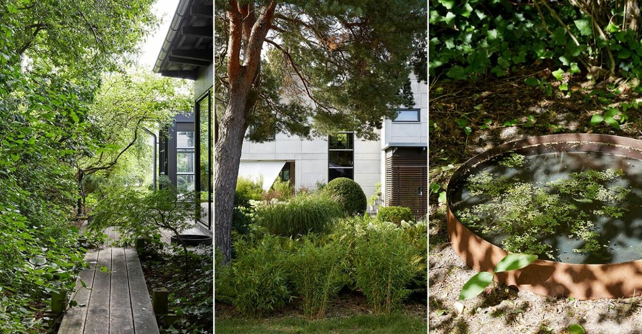 Susann Larssons gröna trädgård är en inspiration.