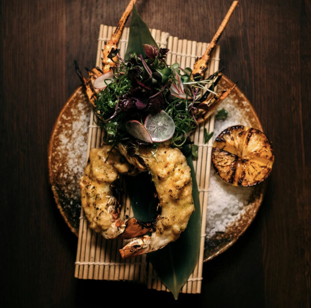 TAKO nyår lobster