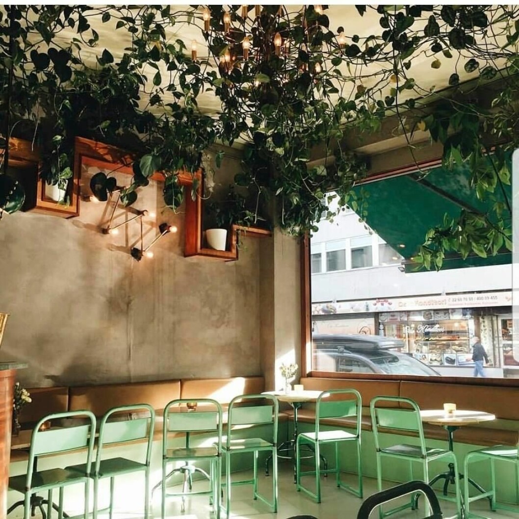 Inredningsstylisten Kirsten Visdal har många favoriter i Oslo. Inredningsbutiken Kollekted by är en av dem. Eller varför inte avsluta veckan med en fredagsdrink på Torggata bontaniske? inspo oslo guide