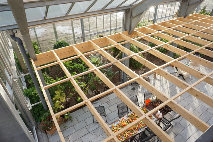 En trädgård som påminner om Joras barndomsmiljöer i Iran. Här växer avokado, vattenmelon och druvor med mera. Inuti växthuset i säsong två av Grand Designs
