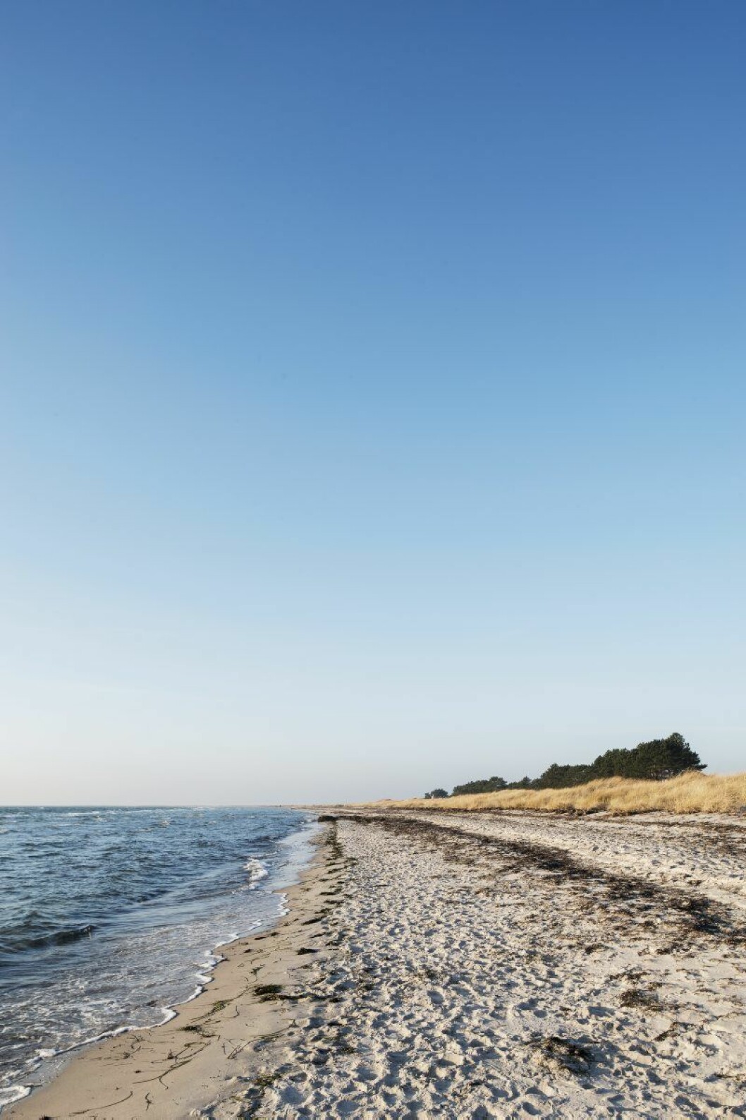 Den urgamla fiske- och handelsplatsen Falsterbo, »Nordens riviera«, lockade förr badgäster från hela Europa.