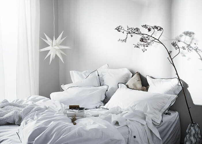 Den trendiga julstjärnan kan hänga kvar efter jul. Foto: Jotex