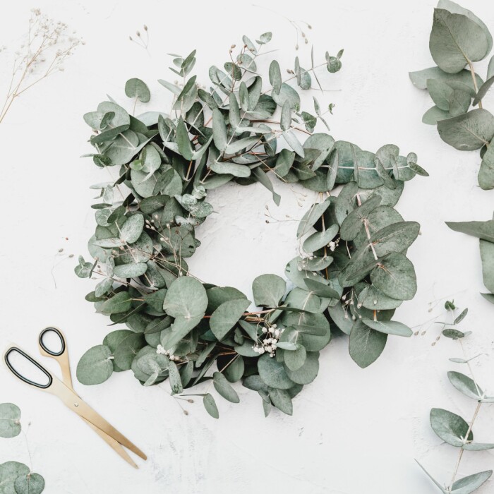 En krans i eucalyptus är både vacker och doftar gott. Foto: Georgia de Lotz /Unsplash krans med eucalyptus