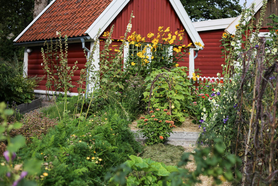 I Allmogebyn finns så mycket inspiration att hämta och applicera på sitt egna odlande, skriver Hanna på sin blogg. Bild från Tjolöholms Allmogeby.