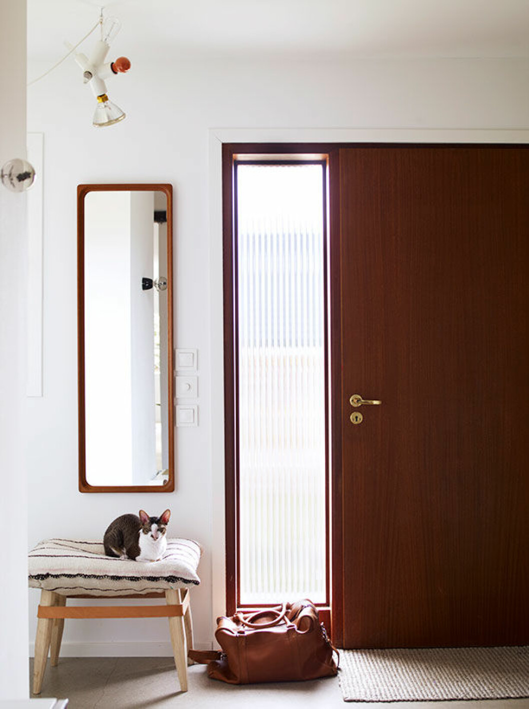 <em>Chill out, Tarzan! Husets cornish rex-katt på pall från Rugcycle/Bofink/NK Inredning. Väska, Sandqvist. Spegeln är från Blocket. Taklampa med olika glödlampor, Moooi. Golvet är av betong.</em> kattmobel jennyaskenfors
