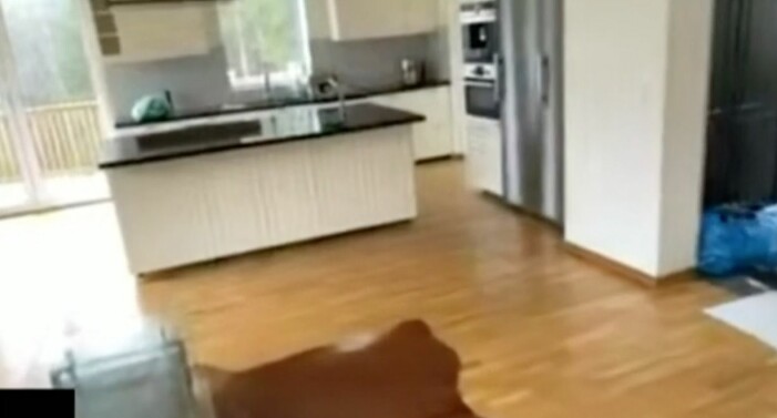 Köket har en rejäl sällskapsyta i form av den generösa köksön.