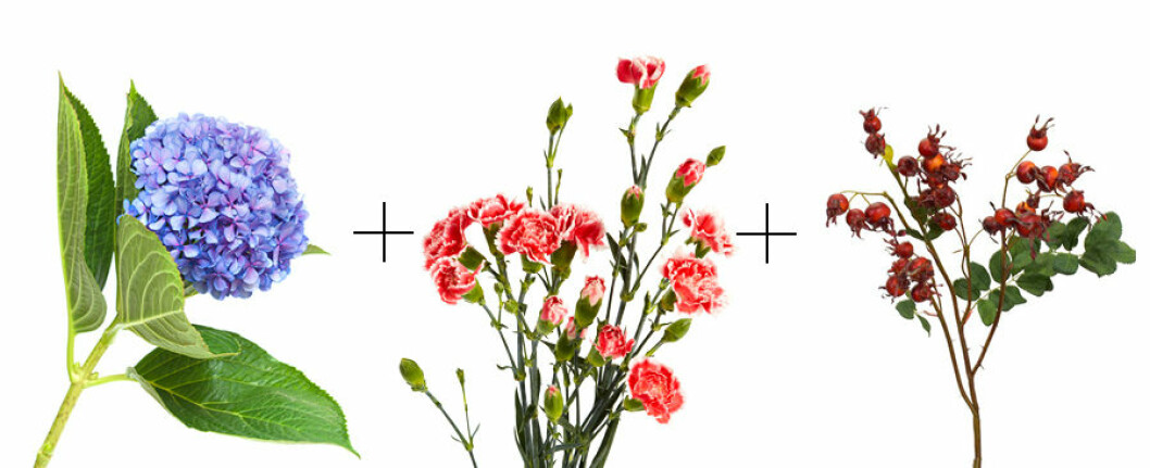 kombo1-snittblommor2