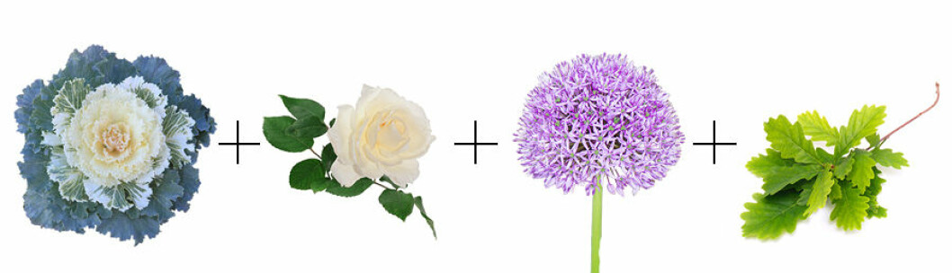 kombo4-snittblommor