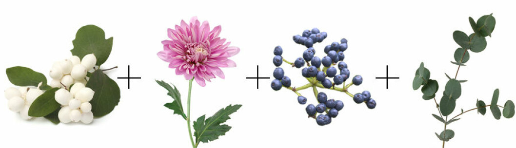 kombo5-snittblommor
