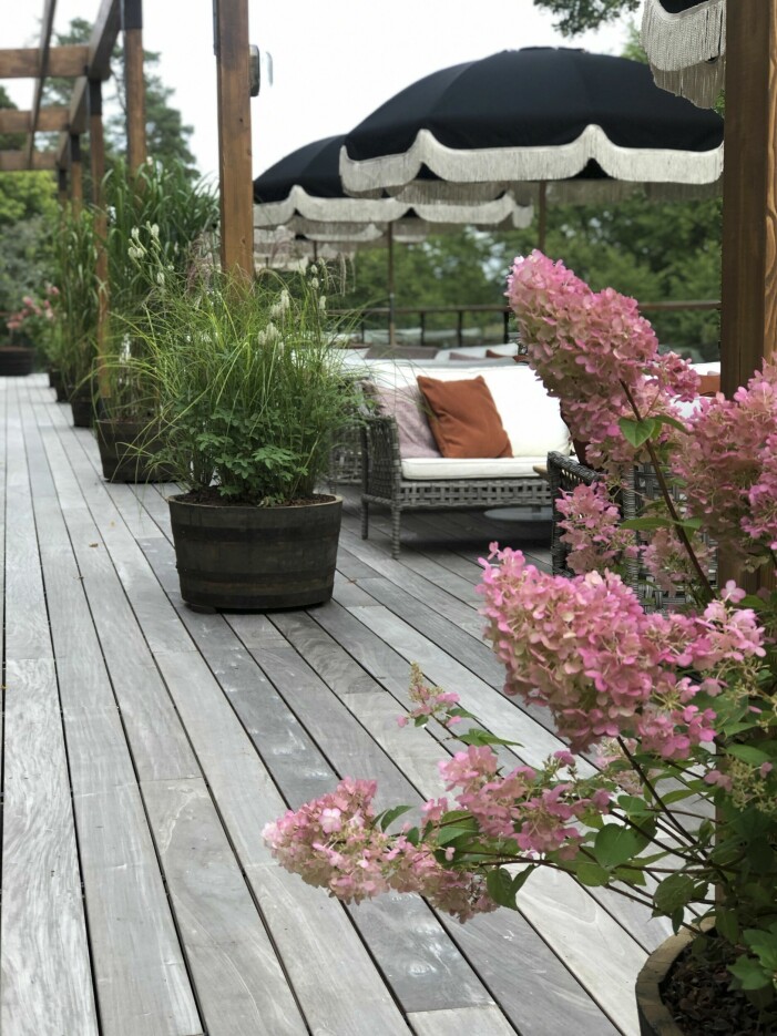 Inred med krukplanteringar: På bilden syns ekkärl med vipphortensia och en böljande och yvig kombination av prydnadsgräset miskantus och kanadapimpinell. Bild från hotellet Ellery beach house. Inred med krukplantering.