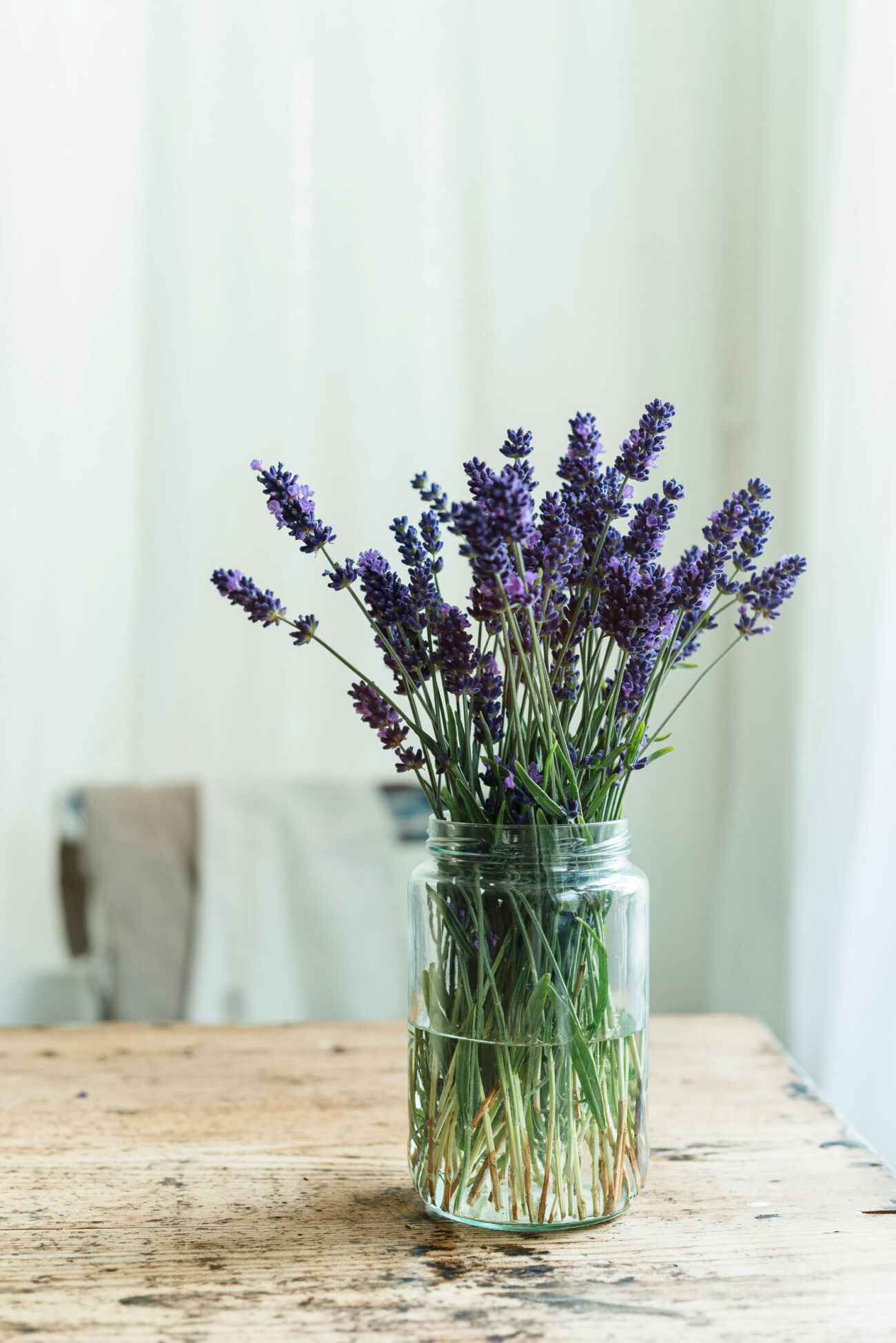 Lavendel är en ätbar blomma