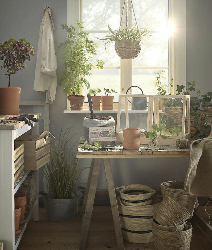 litet växthus clas ohlson