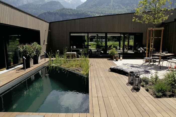 I en living pool renas vattnet av en filterbox samt fosfor- och fosfatfilter. Många väljer ändå att tillföra växter men de har här ingen renande funktion. Living pool.