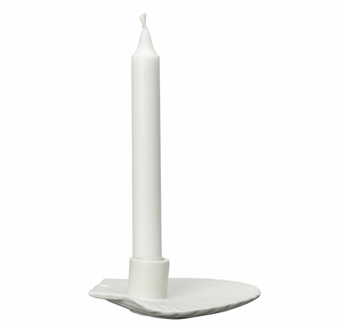 ljusstake snäcka