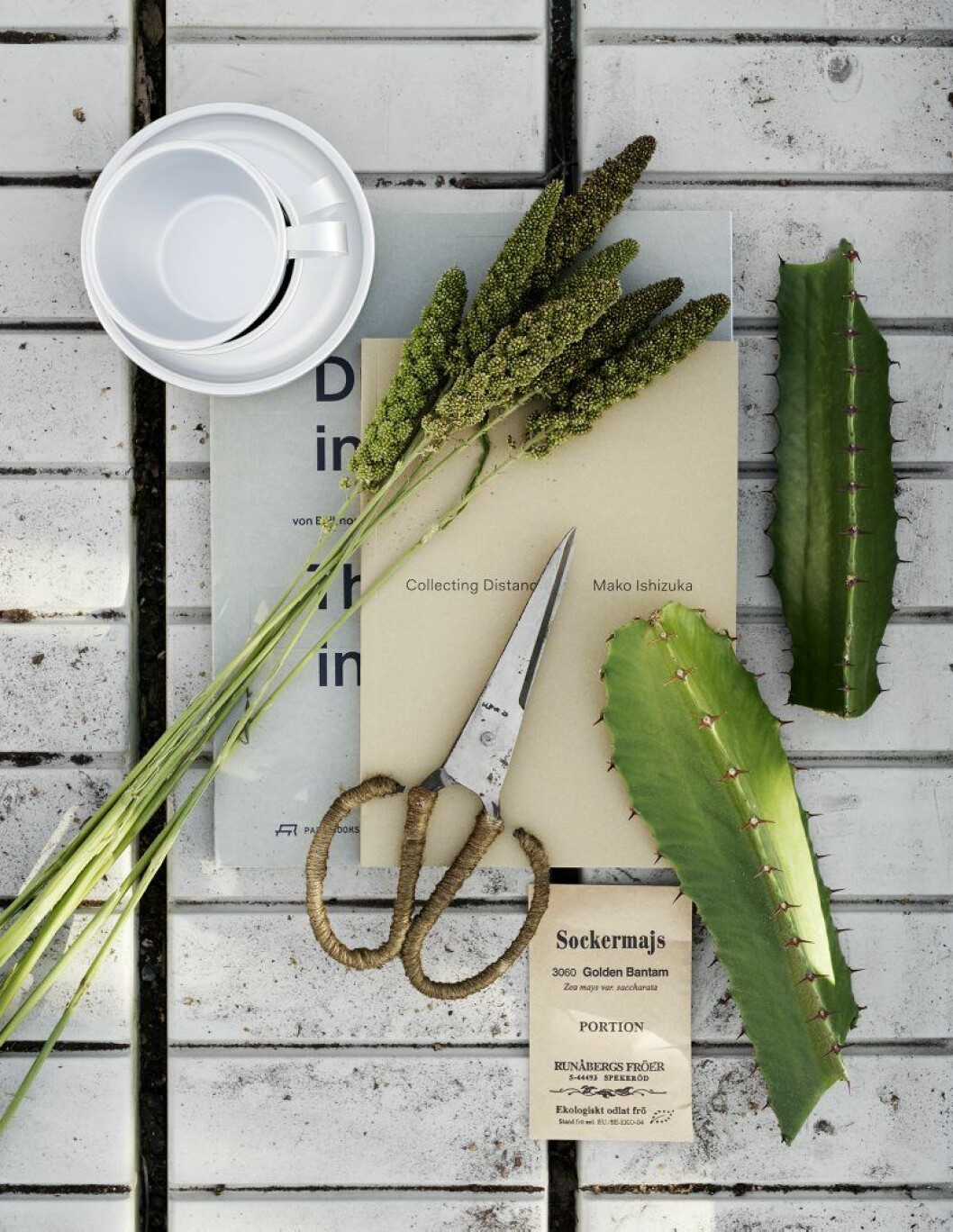 Koppar med fat, 120:-/st, Merci. Böcker, Konst-ig Bokhandel. Sax, 89:-, Flo interiör. Fröpåse, 25:-, Rosendals trädgård, kaktus, Christoffers Blommor. Lotta Agaton styling Rosendal_3