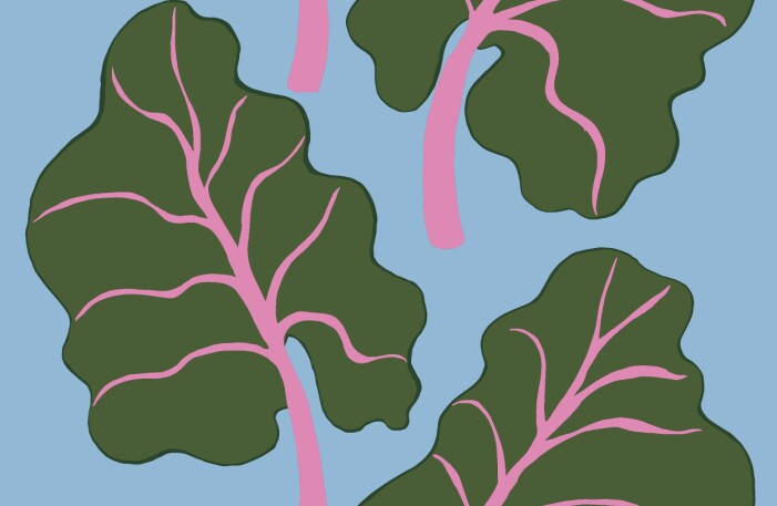 marimekko och ikea duschdraperi