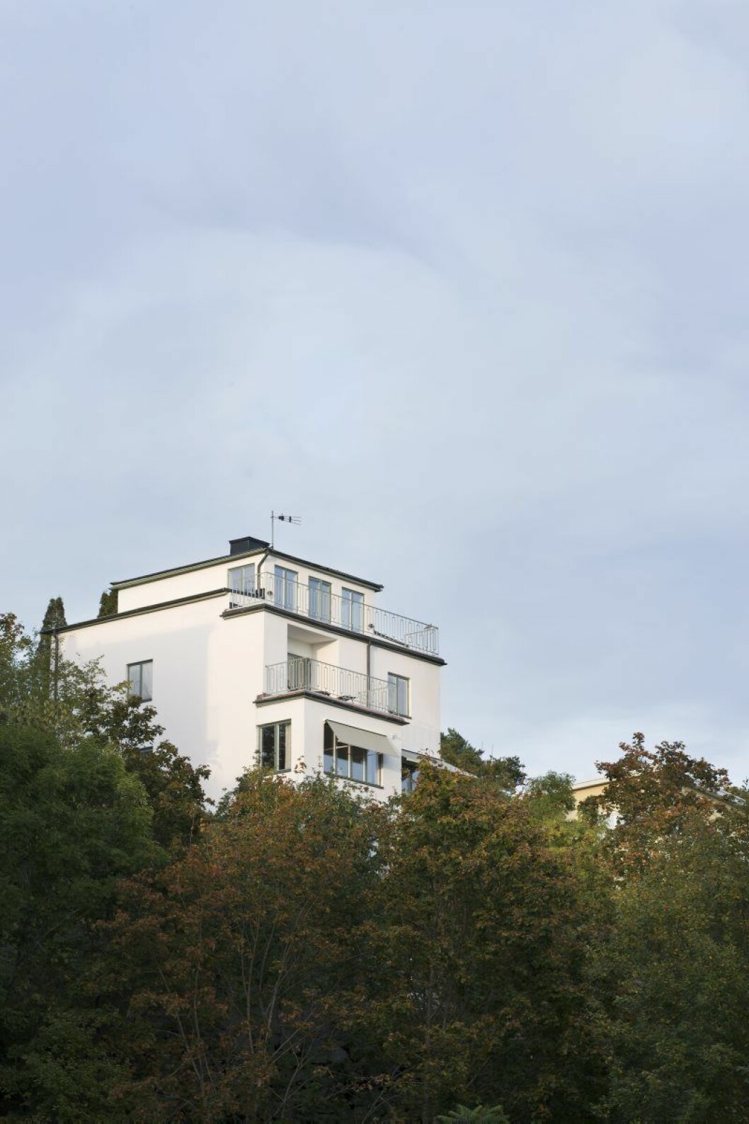 MattiasStenberg_FotoAndyLiffner18