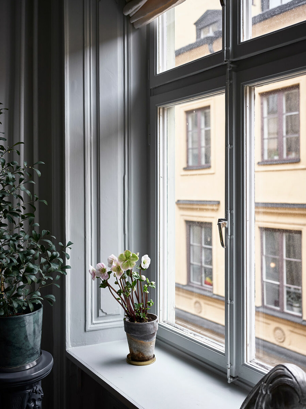 tyska brinken fönsterbleck