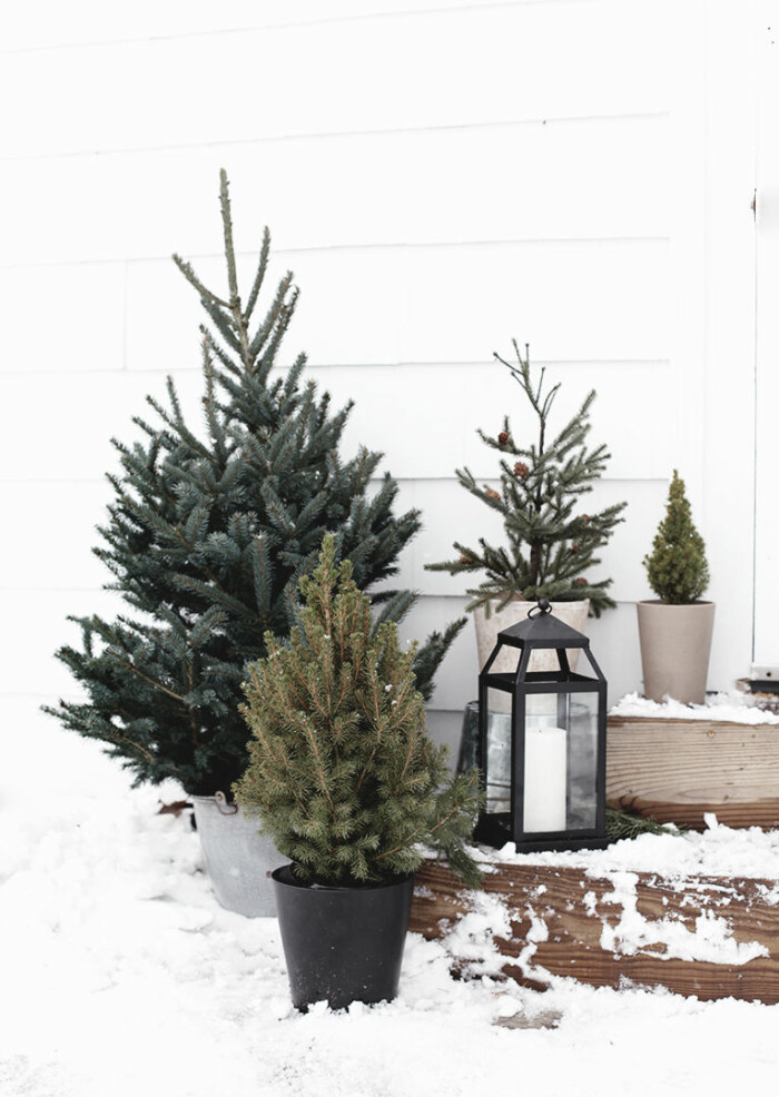 Nordisk minimalism med små granar och en enkel ljuslykta. Foto via: <a target="_blank" href="https://themerrythought.com/dwelling/minimal-outdoor-christmas-decor/">The Merry Thought</a> minimalistiskt julpynt till uteplats och trädgård