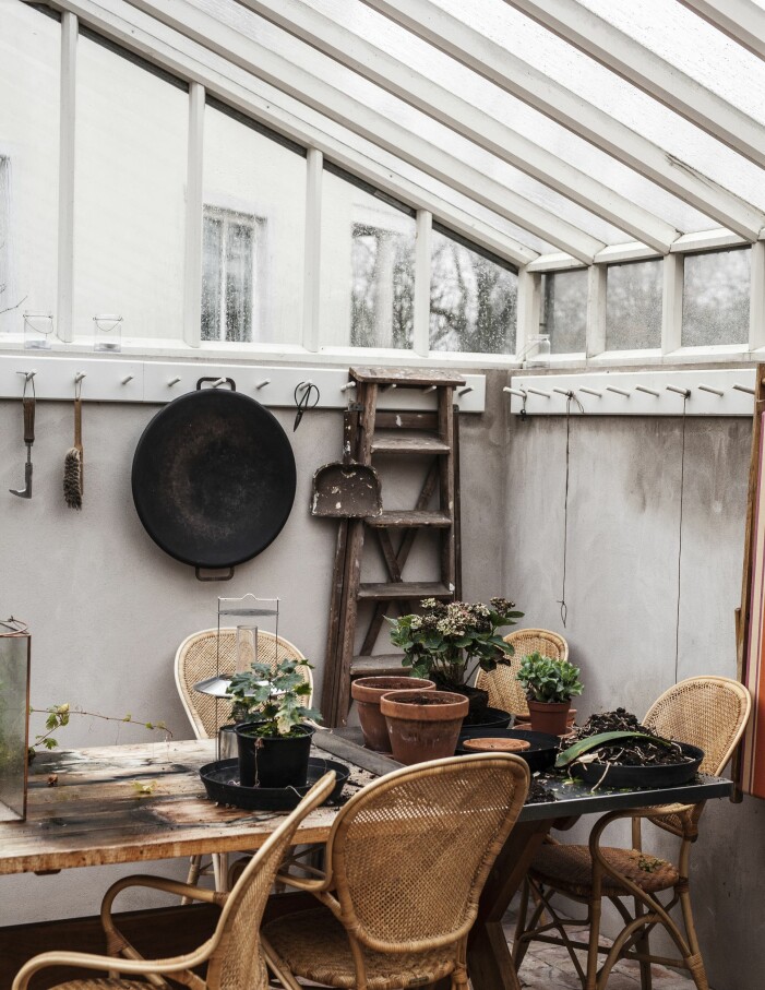 Växthuset i trädgården byggdes i samarbete med Sweden greenhouse. »Vi använder det året runt för botaniska projekt och som ett ställe att bara njuta.« Stolar Rossini från Sika design. Växthus hemma hos grundarna av L:a bruket